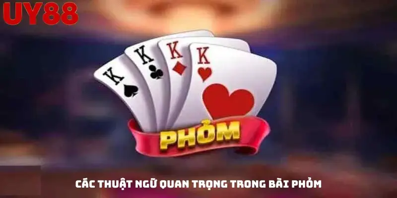 Các Thuật Ngữ Quan Trọng Trong Bài Phỏm