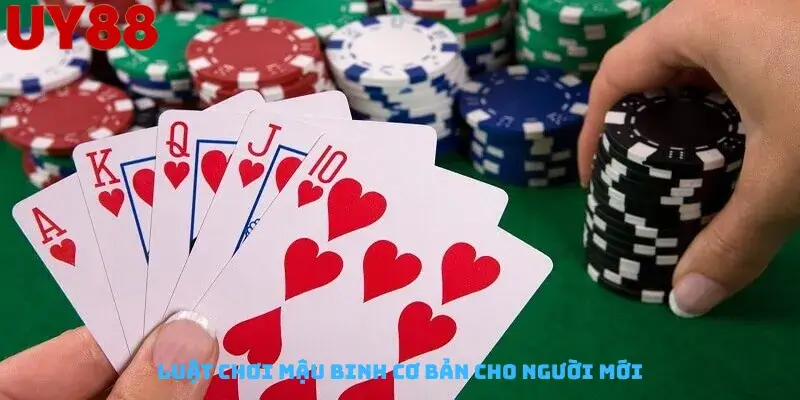 Luật Chơi Mậu Binh Cơ Bản Cho Người Mới
